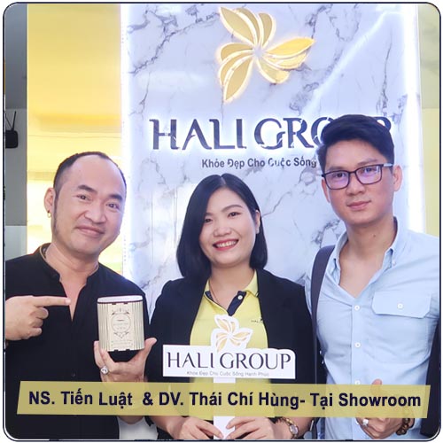 Hali Group giải thưởng showroom