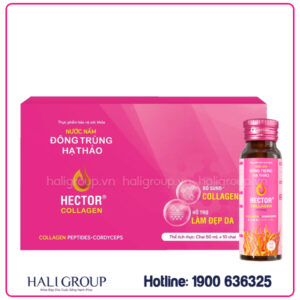 Nước Nấm Đông Trùng Hạ Thảo Hector Collagen