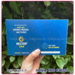 Nước Nấm Đông Trùng Hạ Thảo Hector Sâm (Hộp 10 Chai) - Ảnh 4