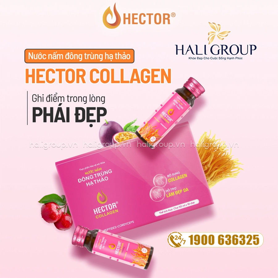 công dụng Nước Nấm Đông Trùng Hạ Thảo Hector Collagen