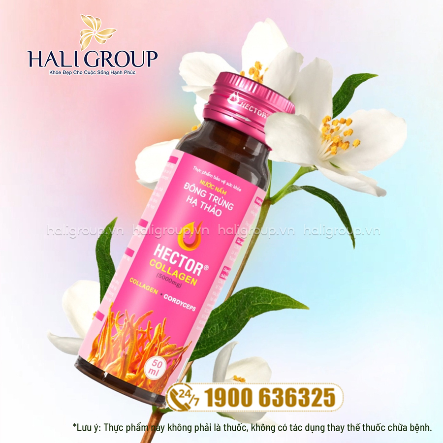 công dụng Nước Nấm Đông Trùng Hạ Thảo Hector Collagen