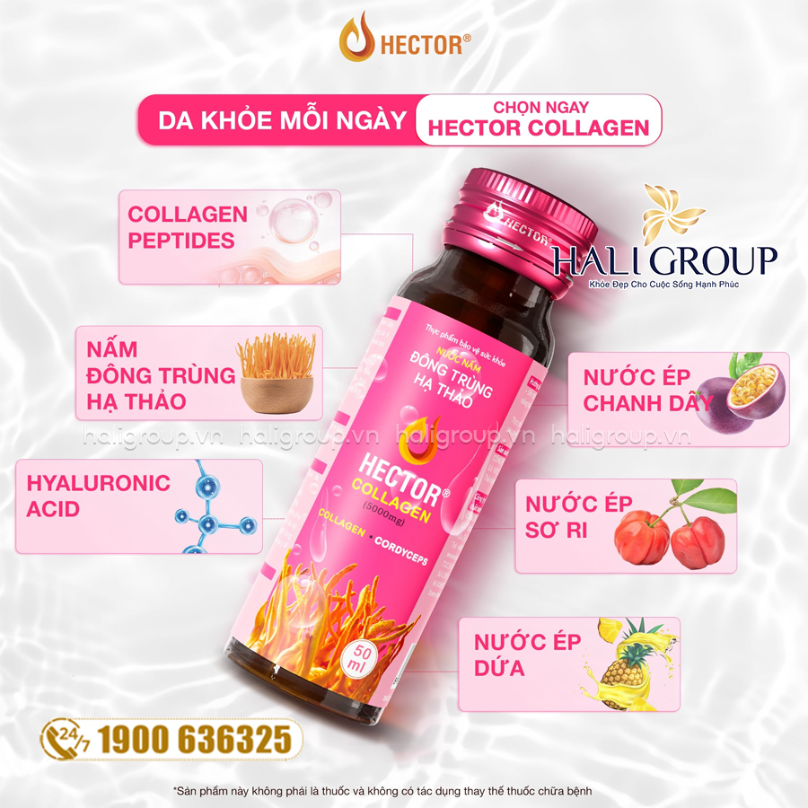 thành phần Nước Nấm Đông Trùng Hạ Thảo Hector Collagen