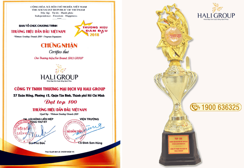 haligroup top 100 thương hiệu dẫn đầu