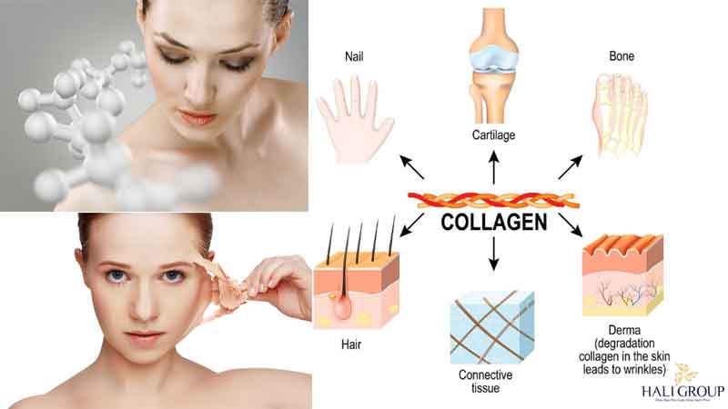 cong-dung-collagen