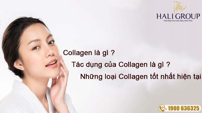 top những loại collagen tốt nhất hiện tại