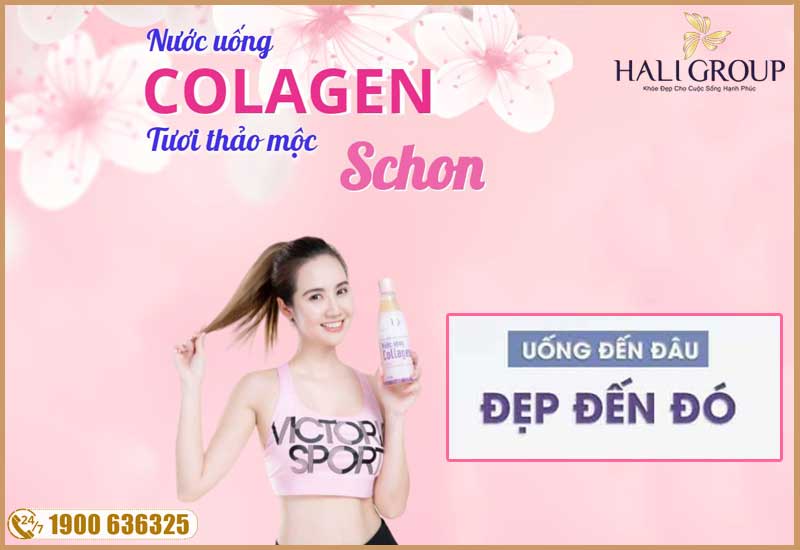 nước uống collagen schon chính hãng việt nam
