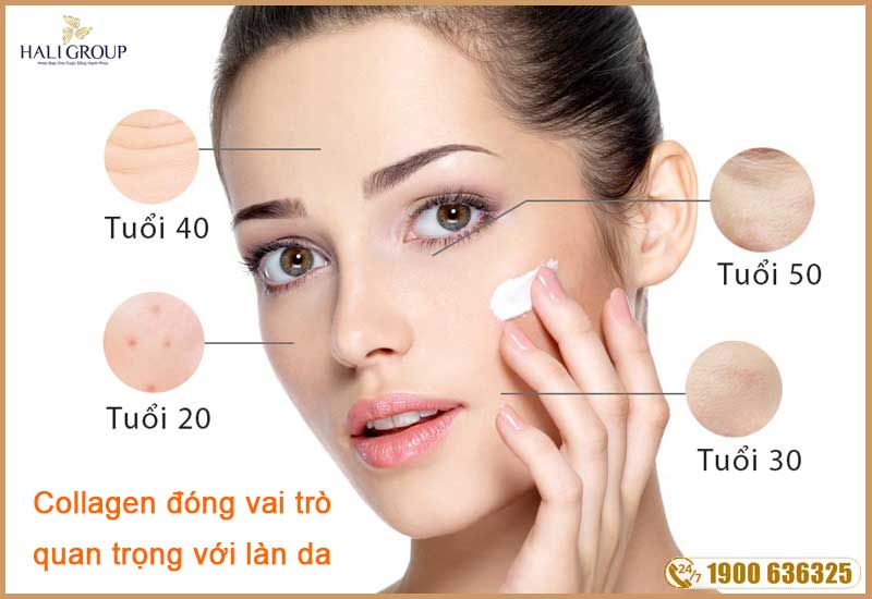 collagen có tác động đến làn da