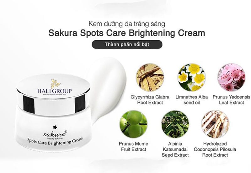 thanh-phan-noi-bat-cua-kem-duong-trang-da-ngua-sam-nam-sakura-spots-care-brightening-cream-nhat-ban