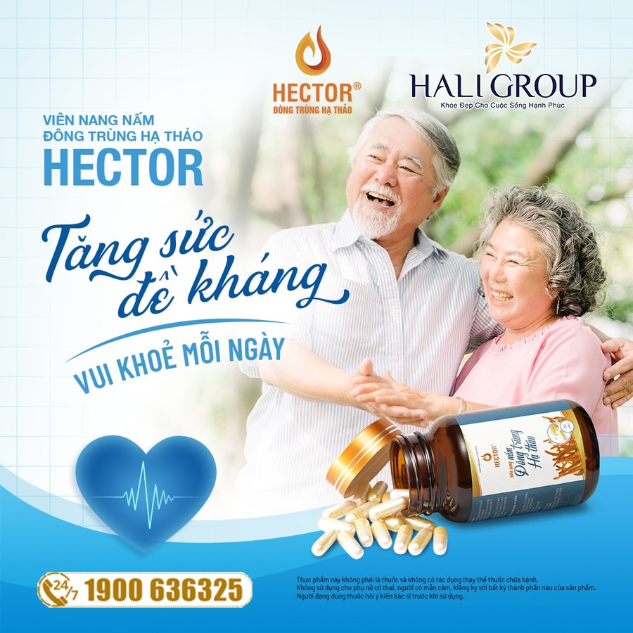 viên nang đông trùng hạ thảo hector