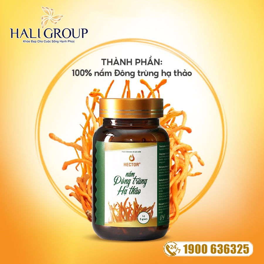 thành phần đông trùng hạ thảo sấy thăng hoa hector