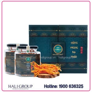 đông trùng hạ thảo thượng phẩm 30g kim cương vàng