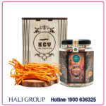 Đông Trùng Hạ Thảo Khô Kim Cương Vàng Chính Hãng - Hộp 10g