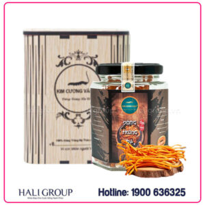 Đông Trùng Hạ Thảo Khô Kim Cương Vàng (Hộp Gỗ 10g)