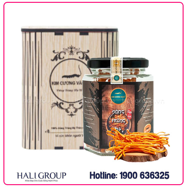 avt-moi-dong-trung-ha-thao-kho-kim-cuong-vang-haligroup Đông Trùng Hạ Thảo Khô Kim Cương Vàng (Hộp Gỗ 10g)