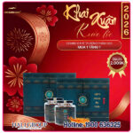 Đông Trùng Hạ Thảo Thượng Phẩm KCV