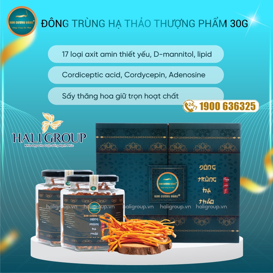 thành phần đông trùng hạ thảo thượng phẩm 30g kim cương vàng