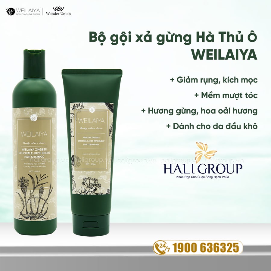công dụng Bộ Dầu Gội Xả Weilaiya Gừng Hà Thủ Ô