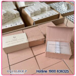 Viên Đặt Phụ Khoa Gcell Premium Y Zone Cleanser [Phiên Bản Mới] - Ảnh 2