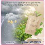 Viên Đặt Phụ Khoa Gcell Premium Y Zone Cleanser [Phiên Bản Mới] - Ảnh 3