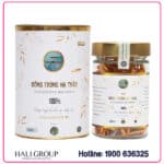 đông trùng hạ thảo gold kcv mẫu mới