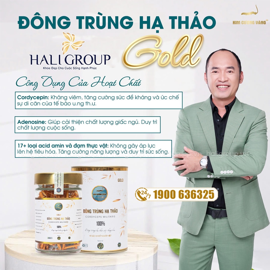 đông trùng hạ thảo gold kcv mẫu mới