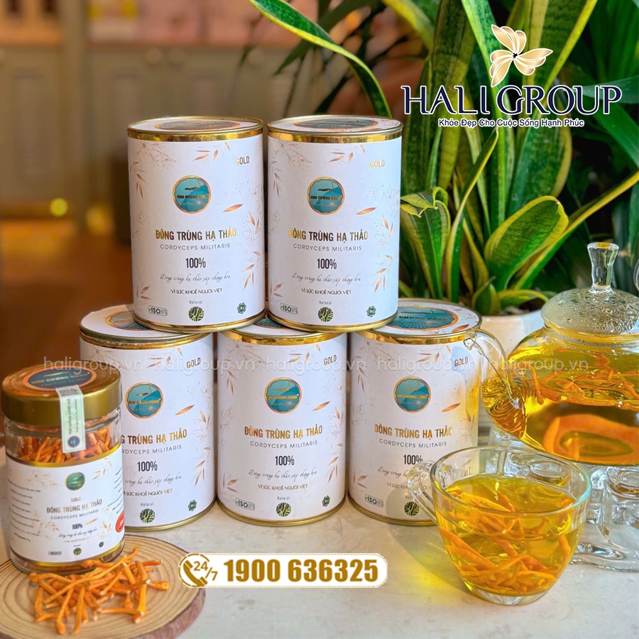 đông trùng hạ thảo gold kim cương vàng mẫu mới