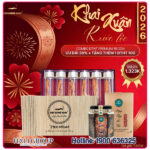 Đông Trùng Hạ Thảo Premium Kim Cương Vàng - Hộp 6 Lọ