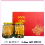 Đông Trùng Hạ Thảo Nano Nguyên Con Khô - Hộp 2 Lọ x 10g