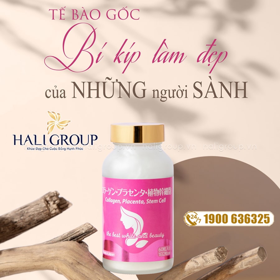 công dụng Viên Uống Tế Bào Gốc Collagen, Placenta, Stem Cell Jpanwell