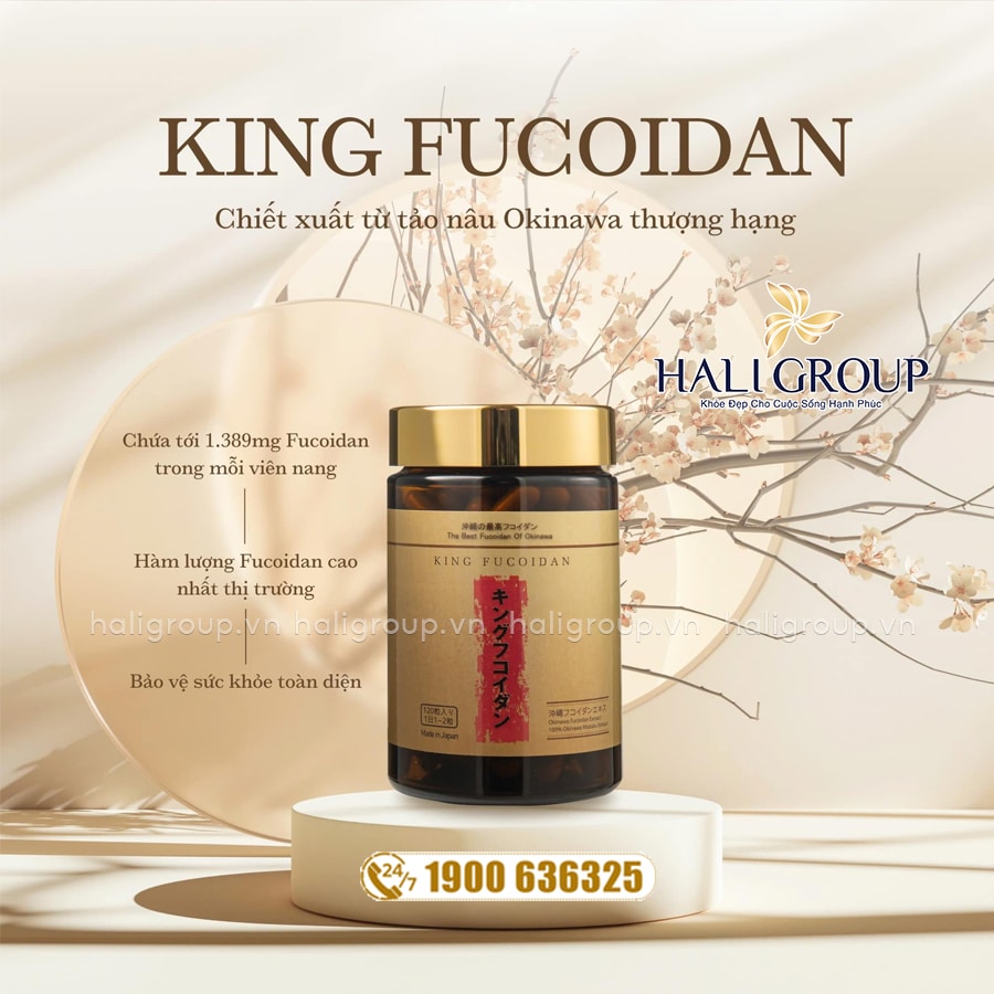 công dụng Viên Uống King Fucoidan Jpanwell