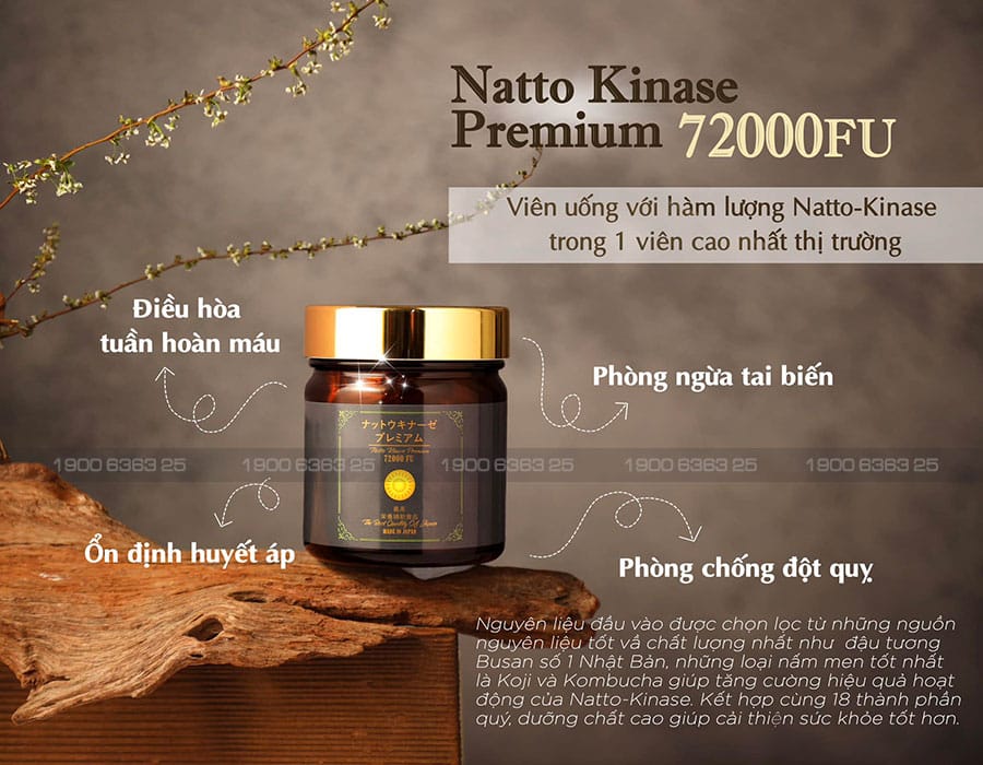 Công Dụng Của Viên Uống Phòng Ngừa Và Hỗ Trợ Đột Quỵ Natto Kinase Premium Jpanwell