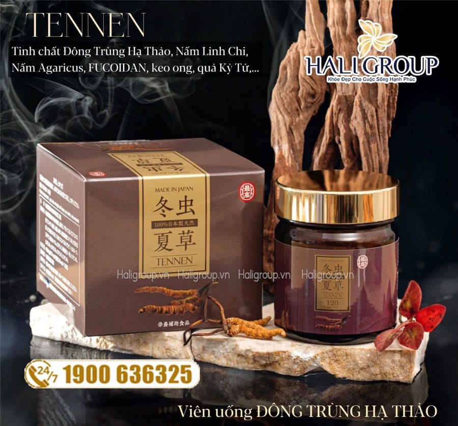 Thành phần viên đông trùng hạ thảo Tennen