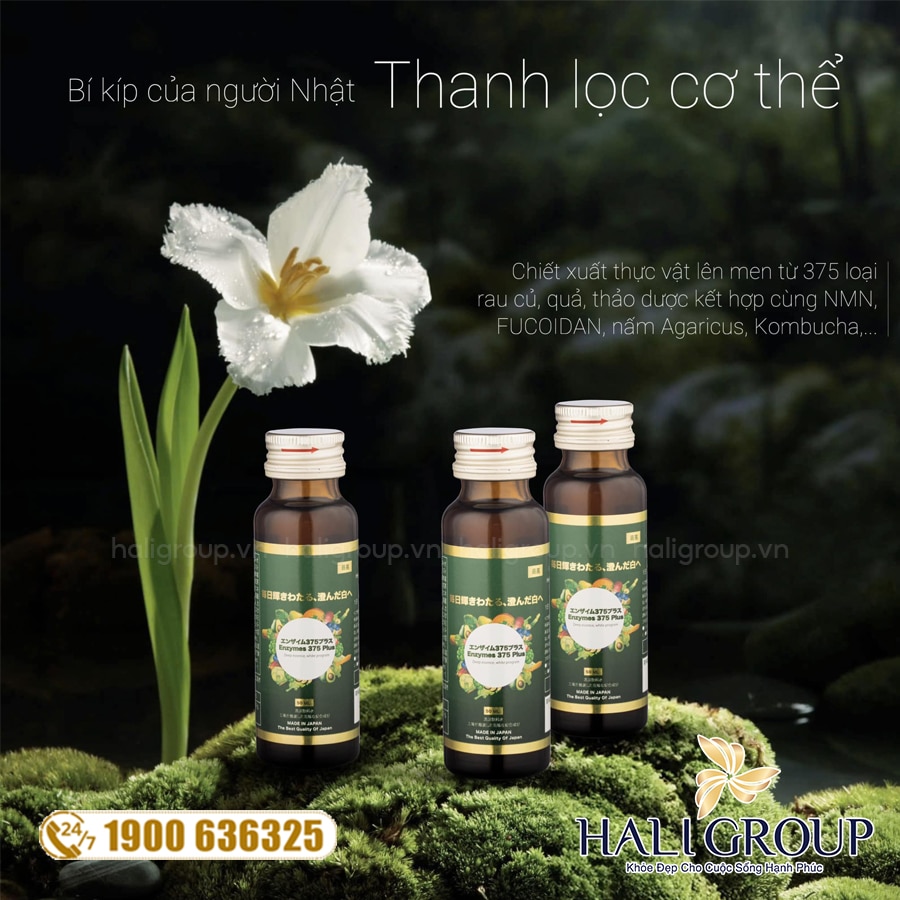thành phần nước uống thực vật lên men enzyme 375 jpanwell