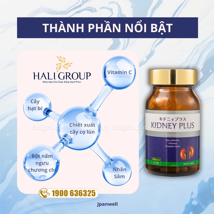 thành phần Viên Uống Bổ Thận Kidney Plus Jpanwell