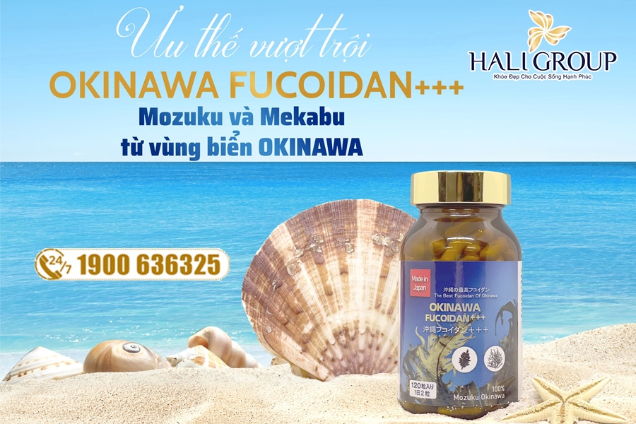 thành phần viên uống okinawa fucoidan+++