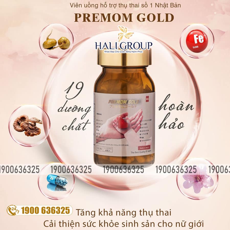 Viên Uống Hỗ Trợ thụ Thai Premom Gold Jpanwell