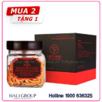Đông Trùng Hạ Thảo Quả Thể Khô Sấy Lạnh Thiên Phúc – Hộp 30g