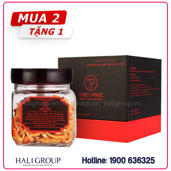 avt-moi-cua-dong-trung-ha-thao-say-lanh-thien-phuc-haligroup Đông Trùng Hạ Thảo Quả Thể Khô Sấy Lạnh Thiên Phúc – Hộp 30g