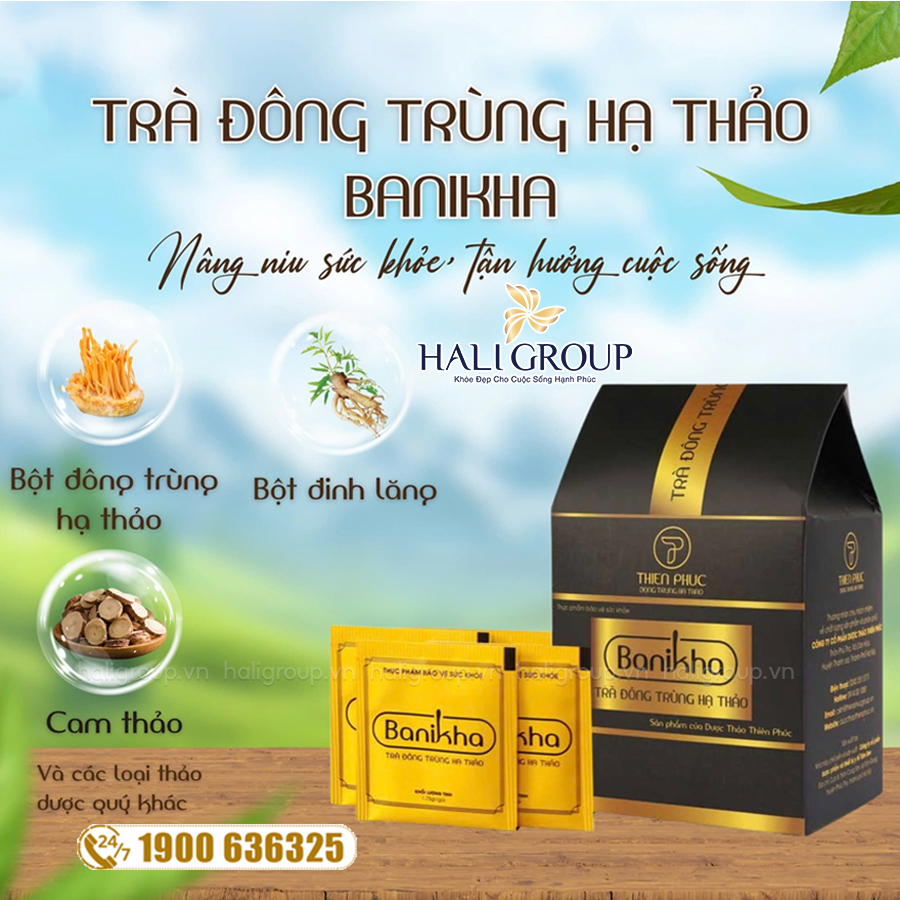 Thành phần Trà Banikha Đông Trùng Hạ Thảo Thiên Phúc