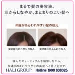 Dầu Xả Tóc Ampleur Premium Phyto Hair Conditioner N
