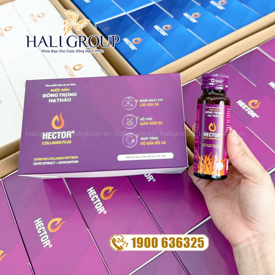 công dụng Nước Đông Trùng Hạ Thảo Hector Collagen Plus