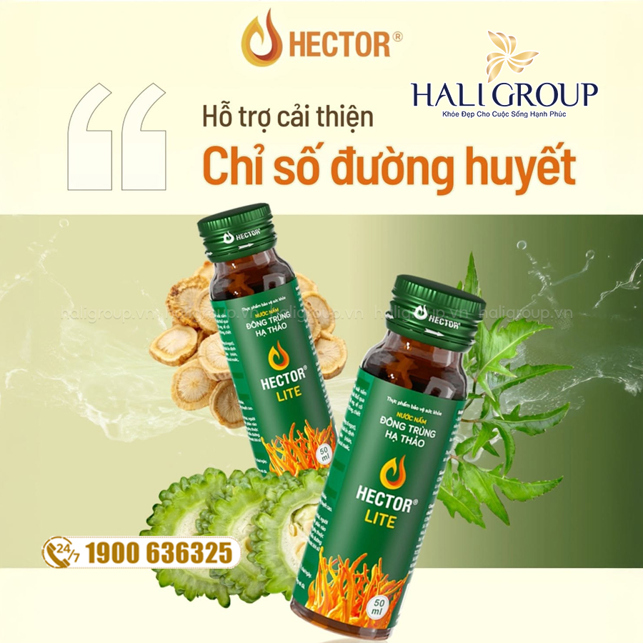 công dụng Nước Đông Trùng Hạ Thảo Hector Lite