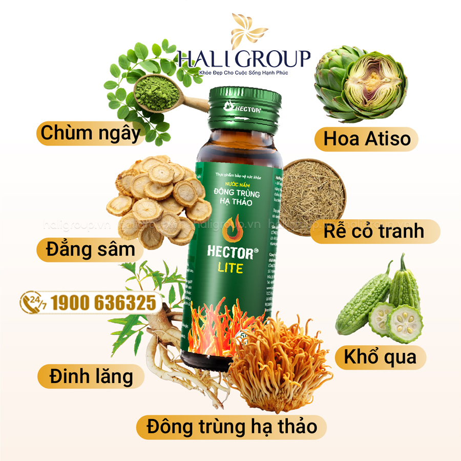 Nước Đông Trùng Hạ Thảo Hector Lite