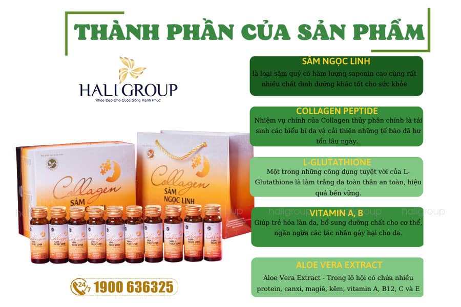 thành phần nước uống collagen sâm ngọc linh tumorong