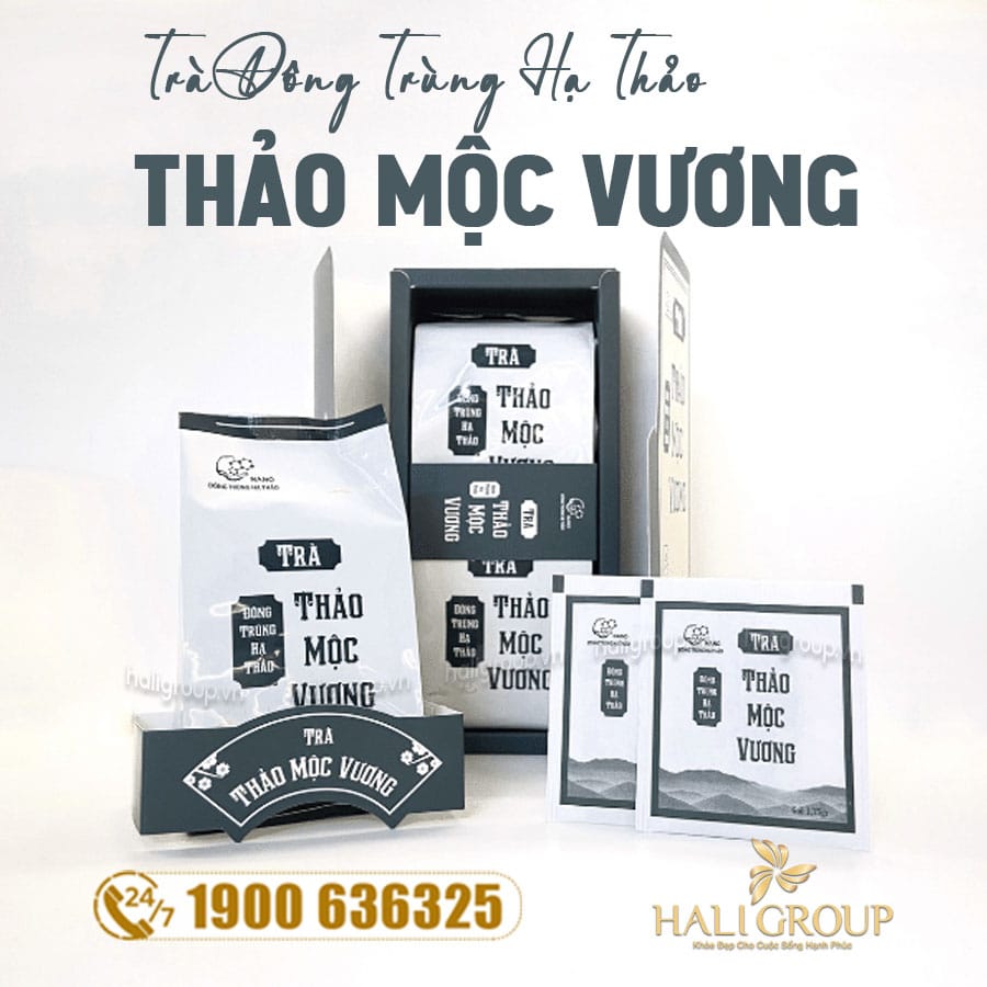 Trà Đông Trùng Hạ Thảo Thảo Mộc Vương