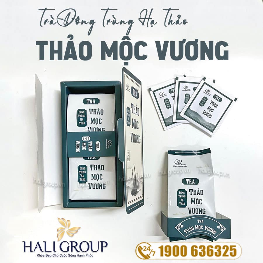 Trà Đông Trùng Hạ Thảo Thảo Mộc Vương