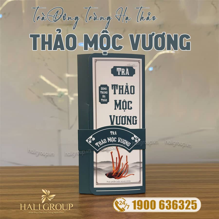 Trà Đông Trùng Hạ Thảo Thảo Mộc Vương