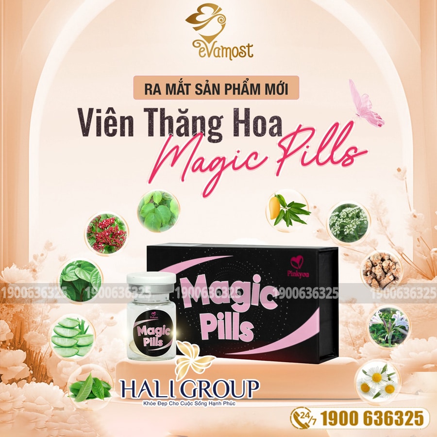 Thành Phần Viên Thăng Hoa Cuộc Yêu Magic Pills