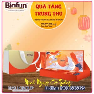 bộ quà tặng trung thu minh nguyệt cát tường biofun