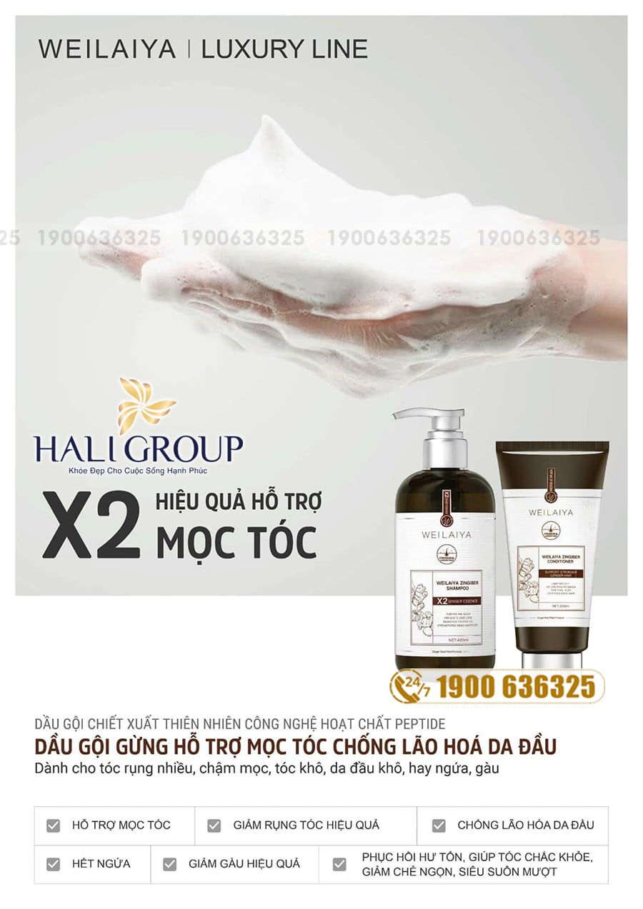 Bộ Dầu Gội Xả Gừng Hỗ Trợ Mọc Tóc Chống Lão Hóa Da Đầu Weilaiya